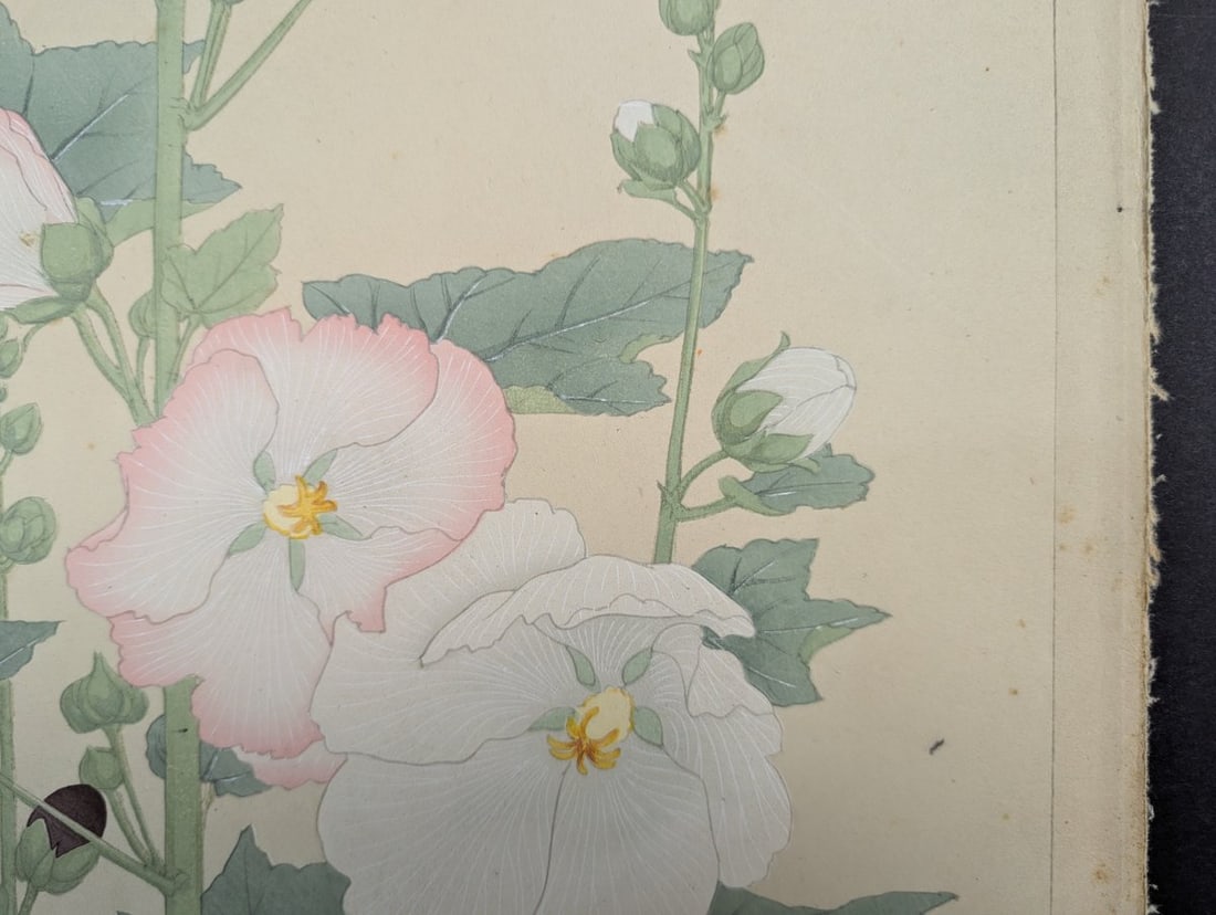 Hollyhock Japanese Woodblock Print by Rakuzan Tsuchiya - Shin-Hanga Flower Art - 2