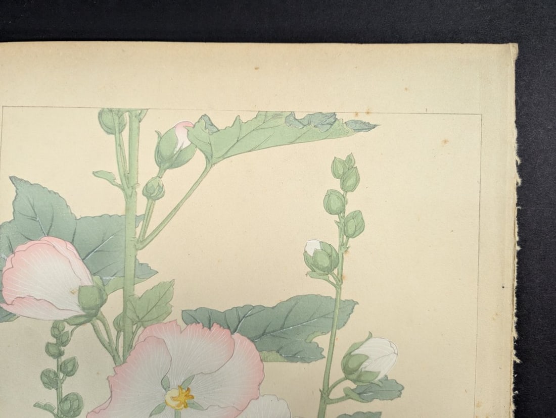 Hollyhock Japanese Woodblock Print by Rakuzan Tsuchiya - Shin-Hanga Flower Art - 3