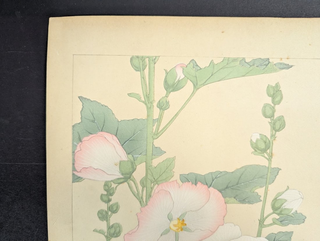 Hollyhock Japanese Woodblock Print by Rakuzan Tsuchiya - Shin-Hanga Flower Art - 5