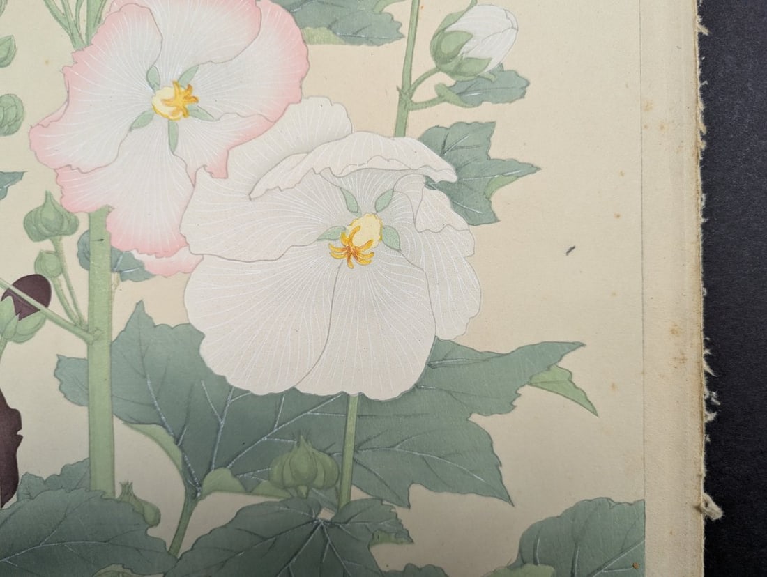 Hollyhock Japanese Woodblock Print by Rakuzan Tsuchiya - Shin-Hanga Flower Art - 8
