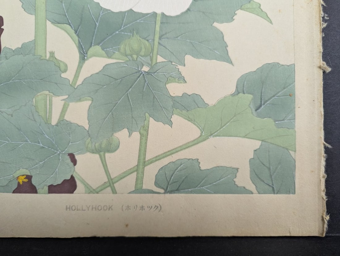 Hollyhock Japanese Woodblock Print by Rakuzan Tsuchiya - Shin-Hanga Flower Art - 9