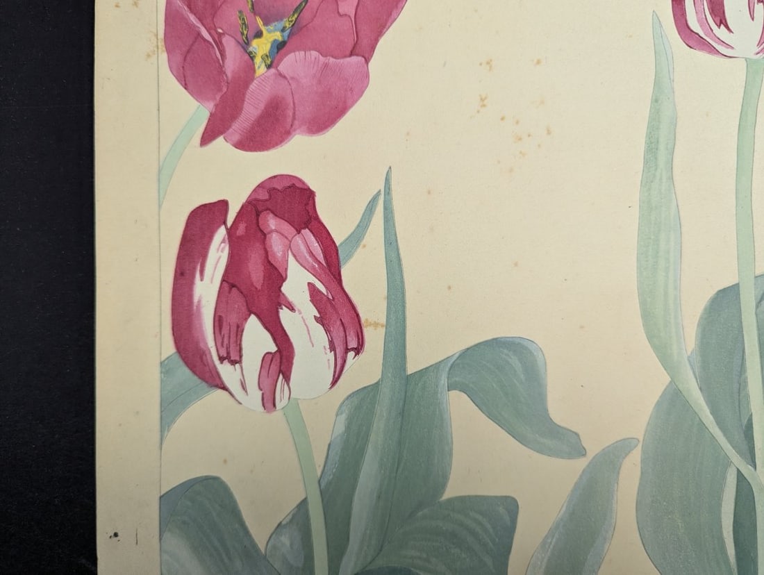 Rakuzan Tsuchiya Japanese Woodblock Print - Tulips - KachÅ-ga Artwork - 4