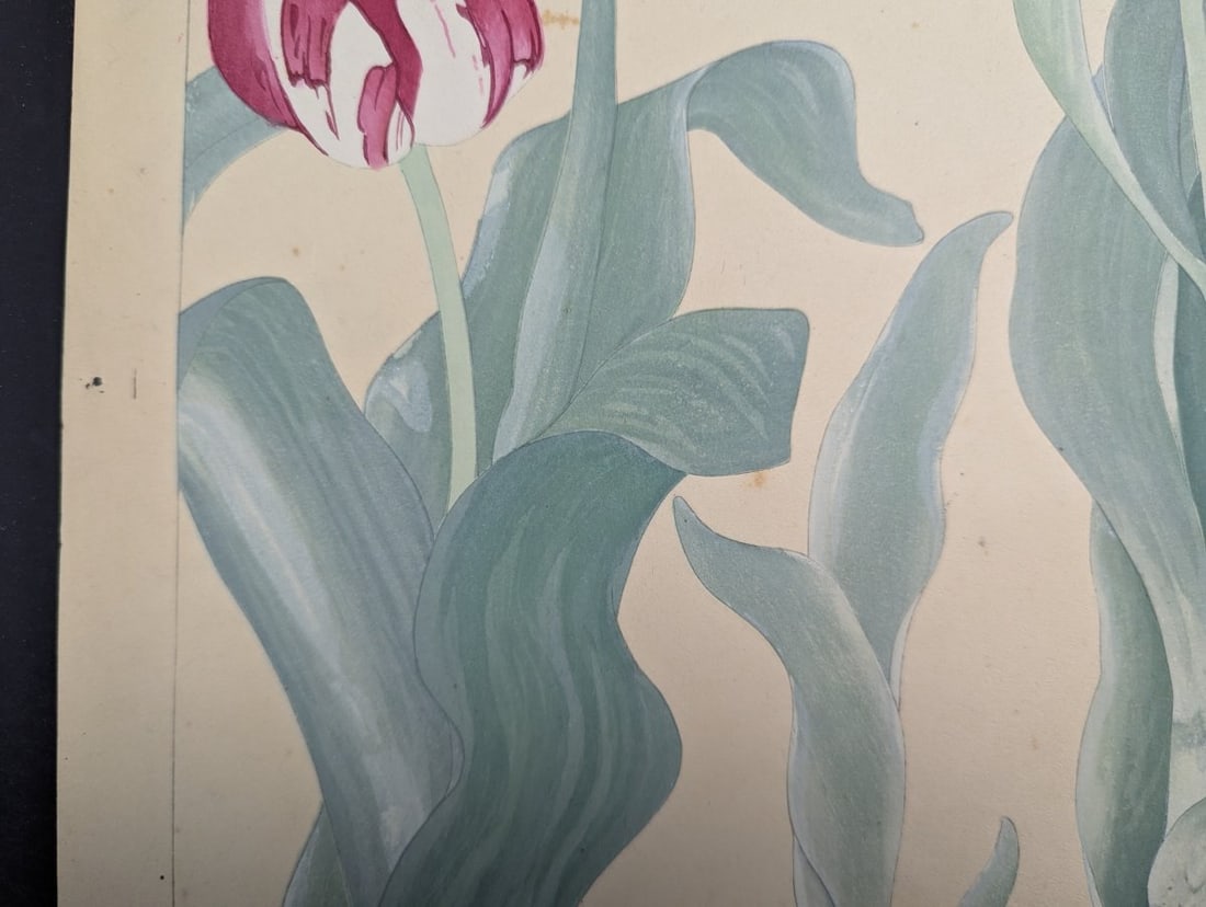 Rakuzan Tsuchiya Japanese Woodblock Print - Tulips - KachÅ-ga Artwork - 6