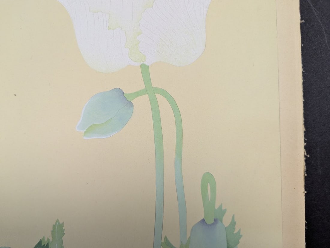 Rakuzan Tsuchiya Japanese Woodblock Print Papaver Somniferum Opium Poppy Art - 4