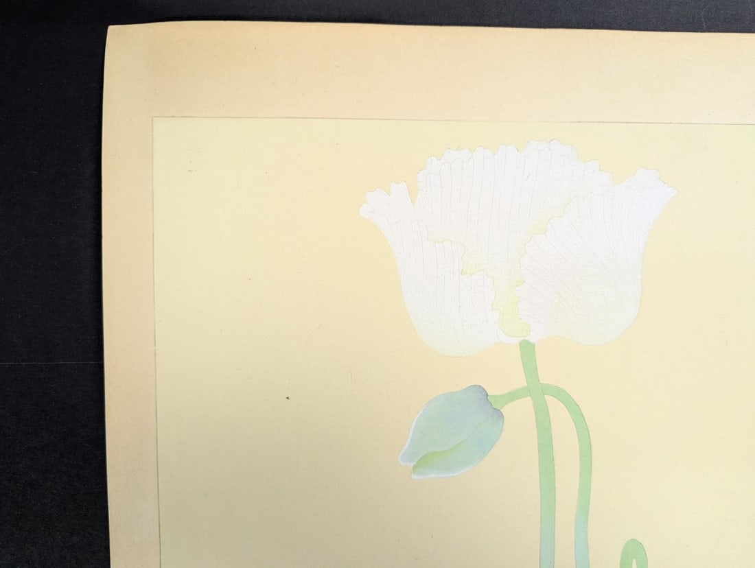 Rakuzan Tsuchiya Japanese Woodblock Print Papaver Somniferum Opium Poppy Art - 5