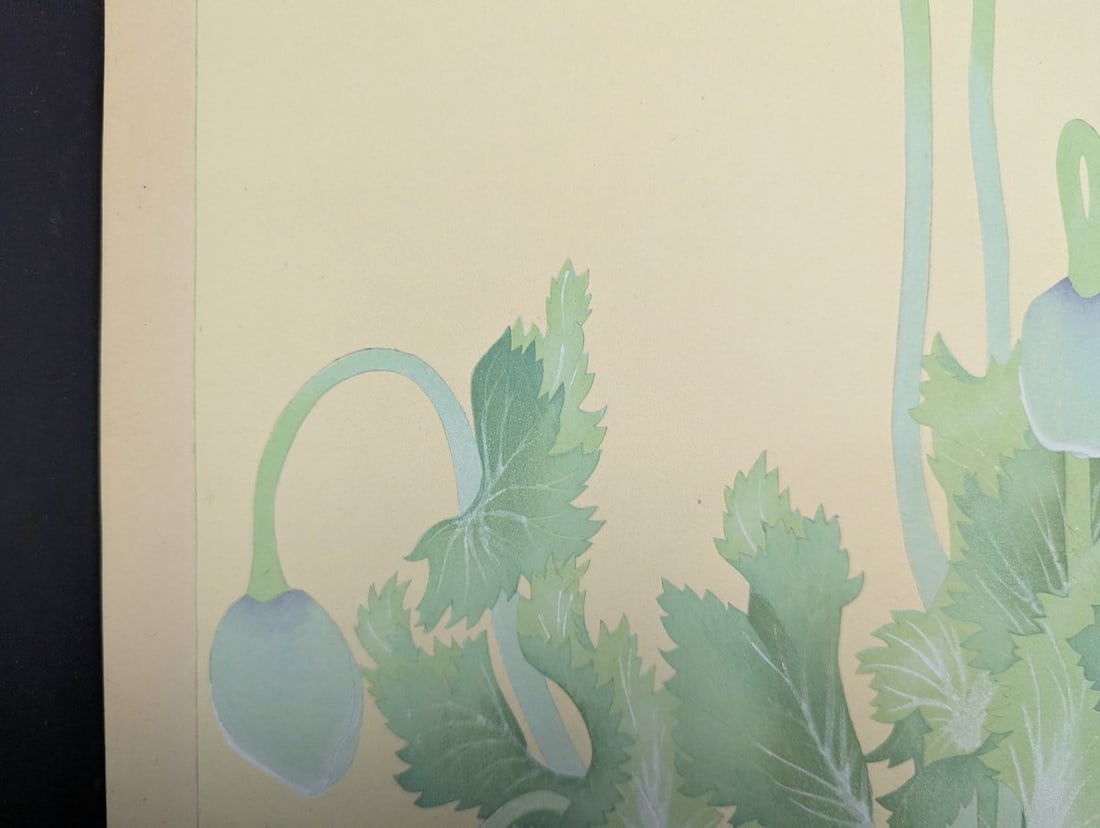 Rakuzan Tsuchiya Japanese Woodblock Print Papaver Somniferum Opium Poppy Art - 6