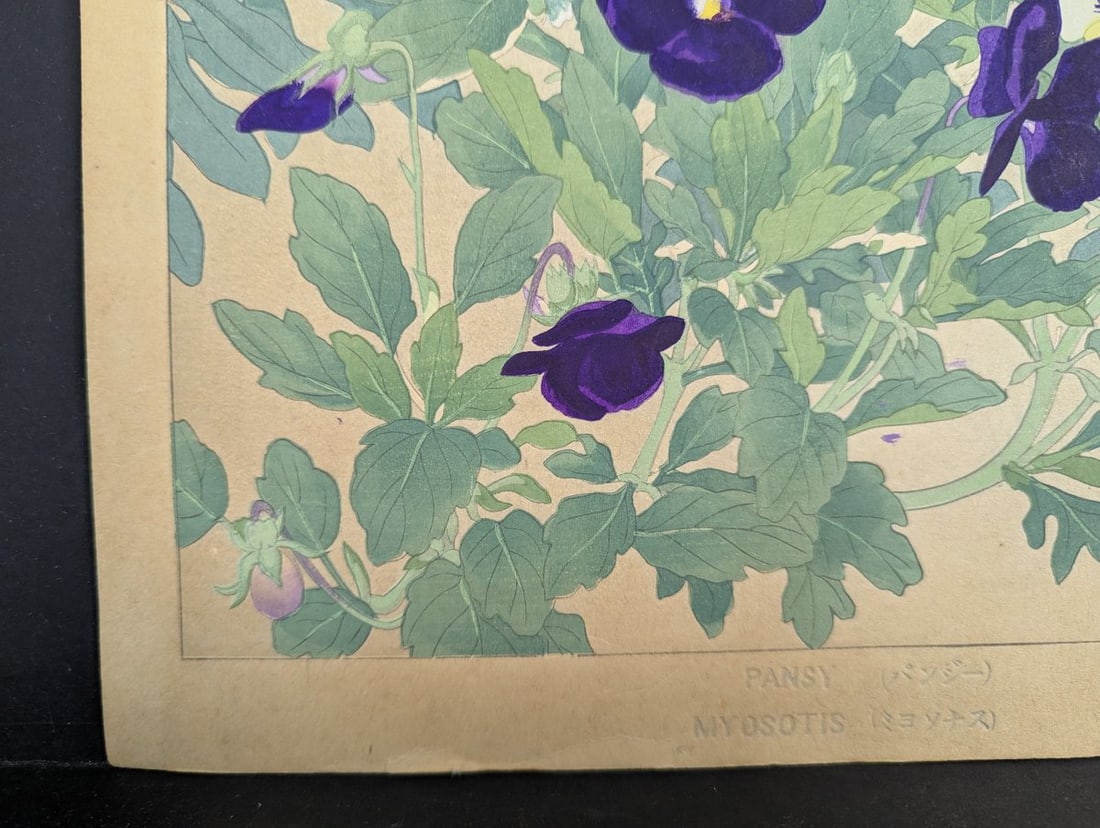 Japanese Woodblock Print by Rakuzan Tsuchiya - Pansy and Myosotis - 5