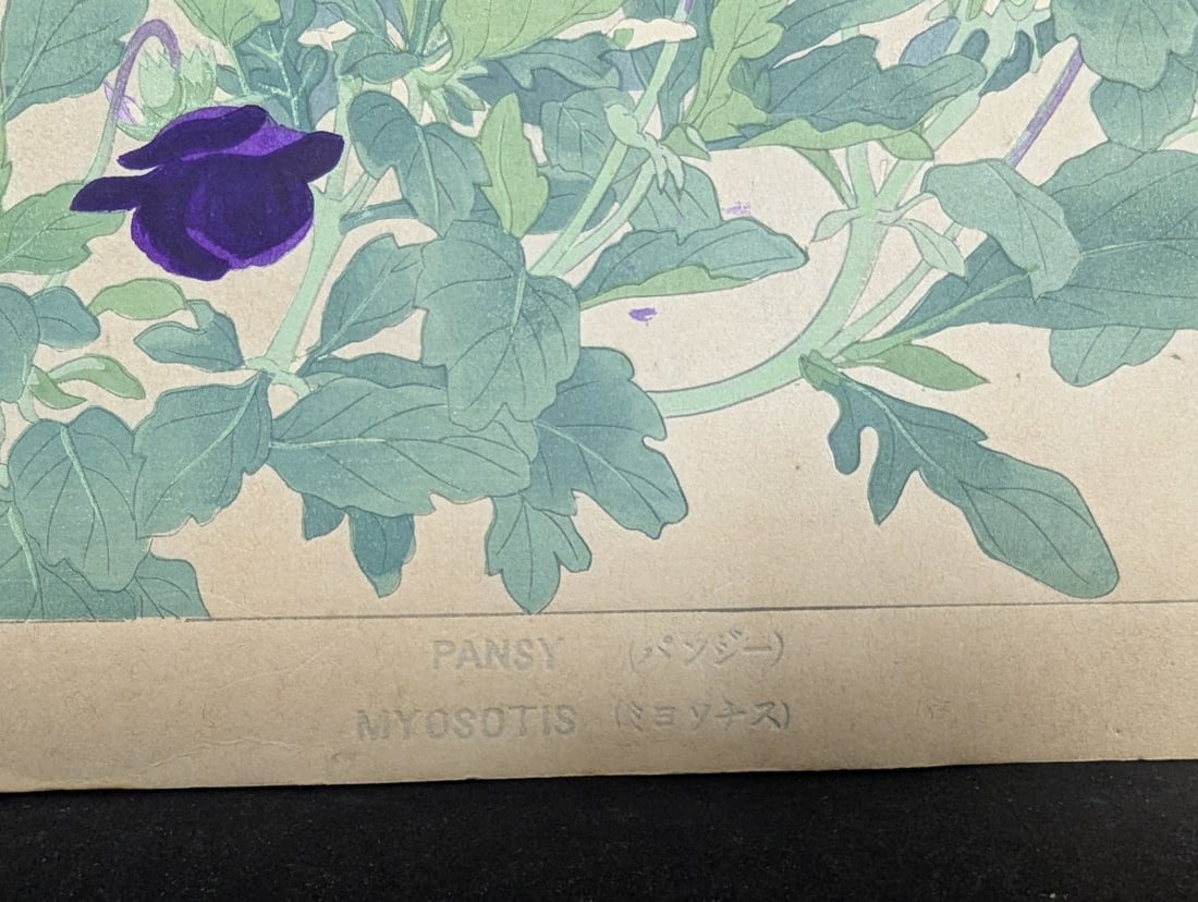 Japanese Woodblock Print by Rakuzan Tsuchiya - Pansy and Myosotis - 6