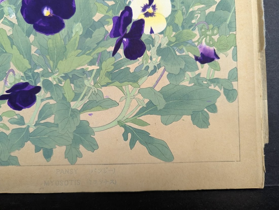 Japanese Woodblock Print by Rakuzan Tsuchiya - Pansy and Myosotis - 7