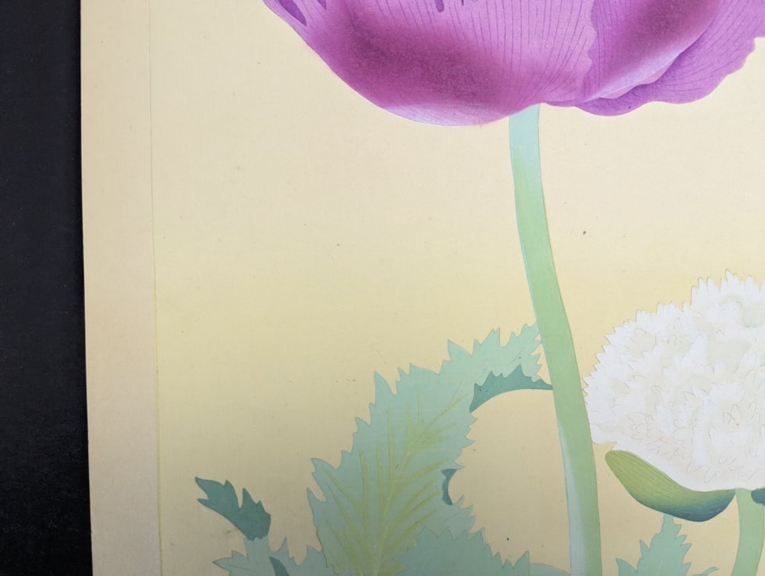 Japanese Woodblock Print by Rakuzan Kachiku - Papaver Somniferum (Poppy) Artwork - 2