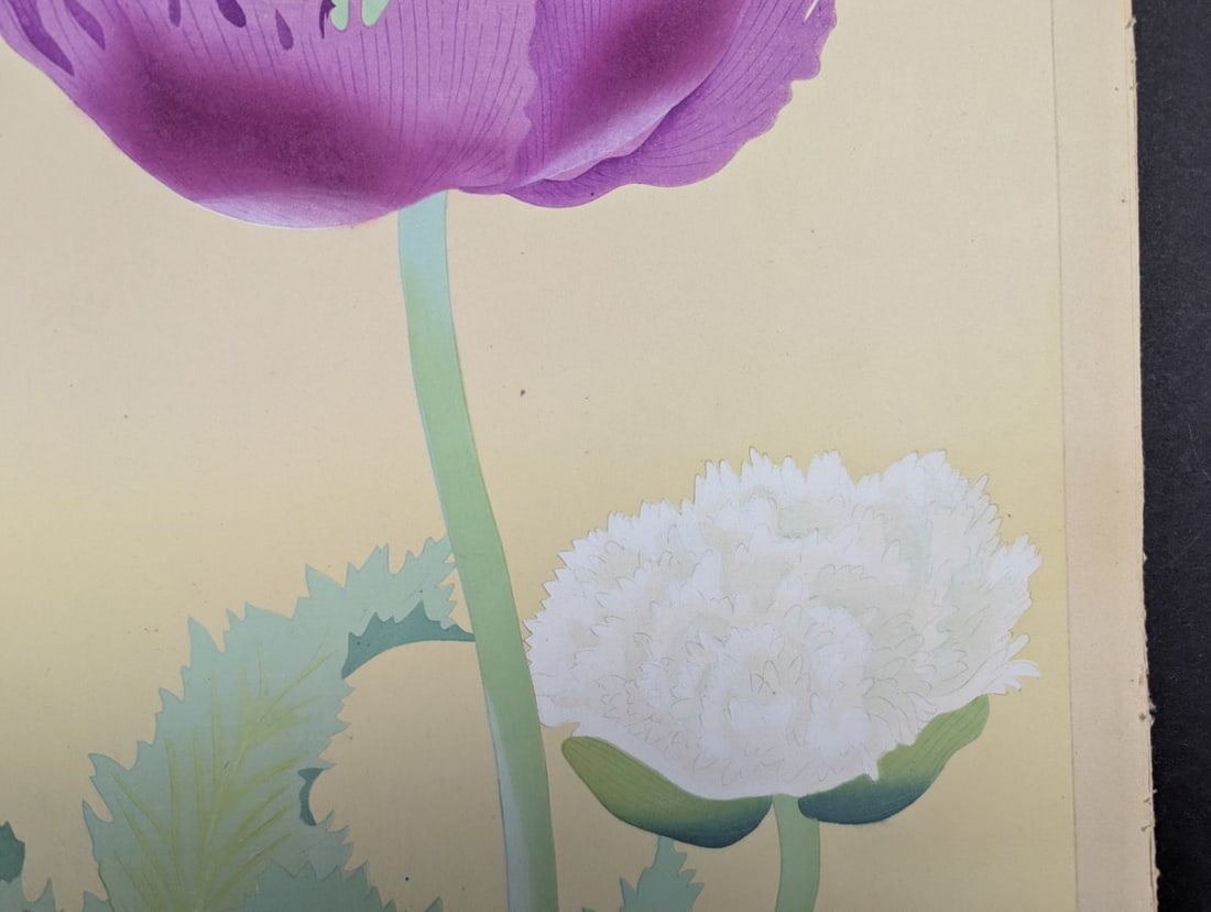 Japanese Woodblock Print by Rakuzan Kachiku - Papaver Somniferum (Poppy) Artwork - 3