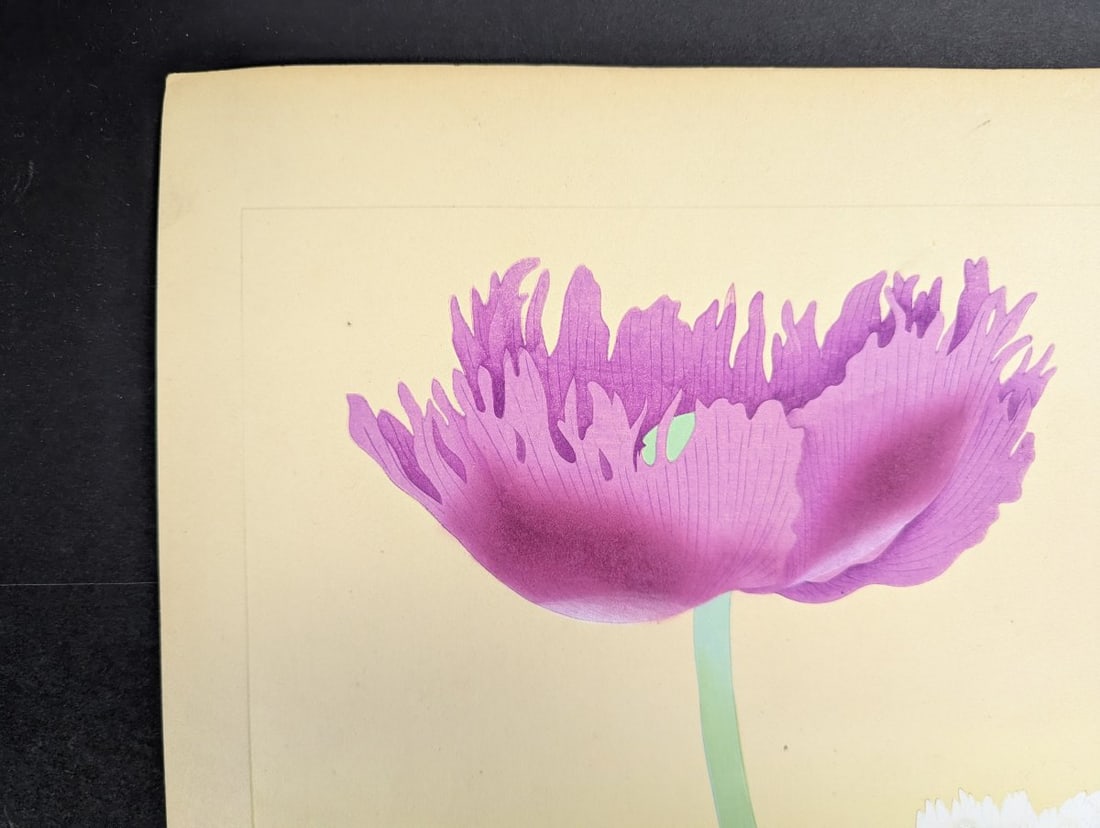 Japanese Woodblock Print by Rakuzan Kachiku - Papaver Somniferum (Poppy) Artwork - 4