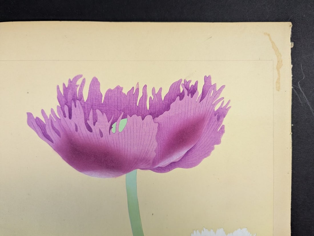 Japanese Woodblock Print by Rakuzan Kachiku - Papaver Somniferum (Poppy) Artwork - 5