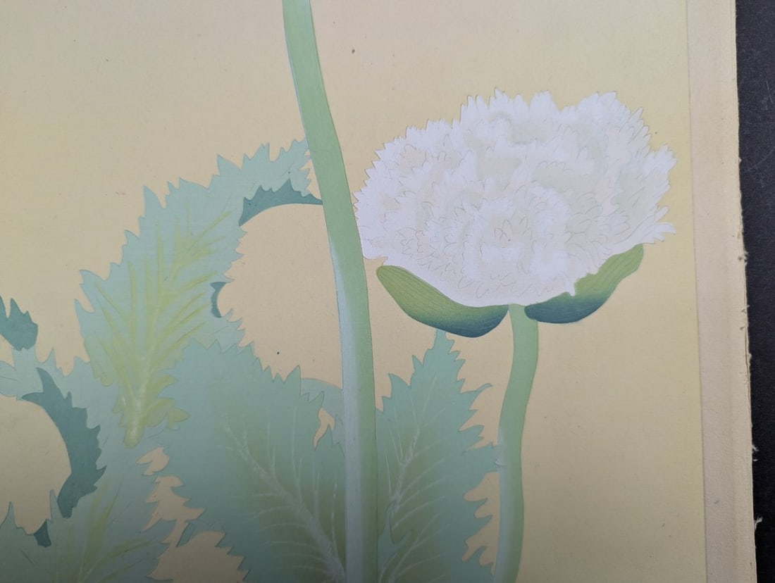 Japanese Woodblock Print by Rakuzan Kachiku - Papaver Somniferum (Poppy) Artwork - 6