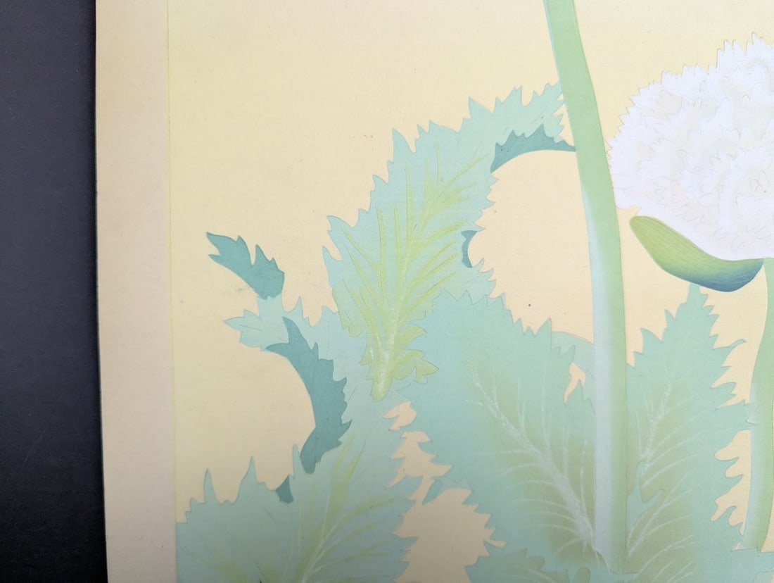 Japanese Woodblock Print by Rakuzan Kachiku - Papaver Somniferum (Poppy) Artwork - 9