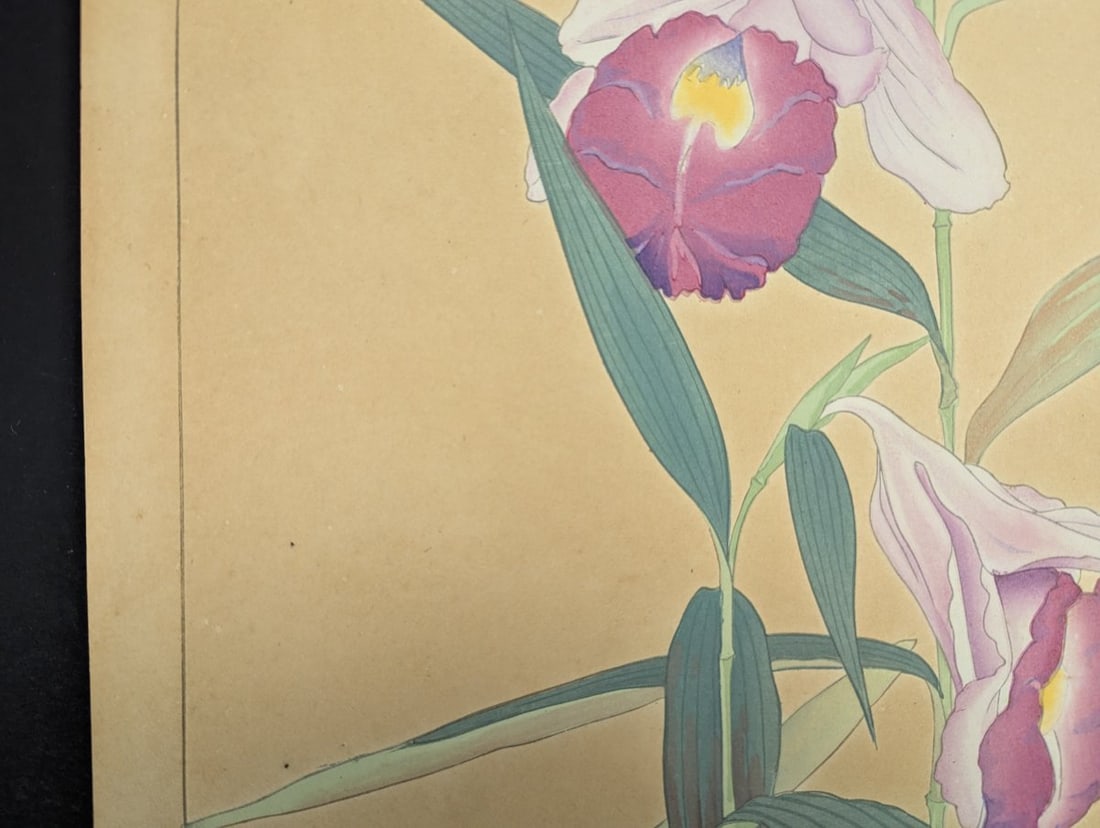 Japanese Woodblock Print by Rakuzan Tsuchiya - Sobralia Veitchii & Epidendrum - 2