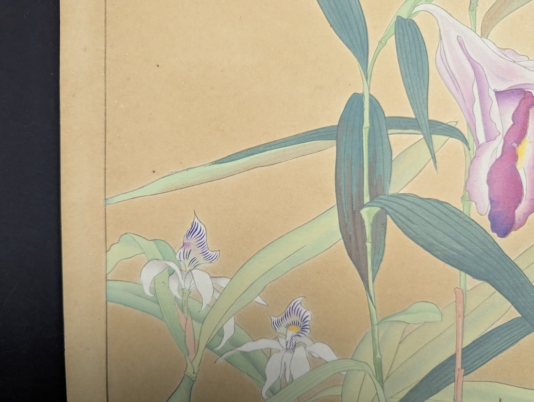 Japanese Woodblock Print by Rakuzan Tsuchiya - Sobralia Veitchii & Epidendrum - 6