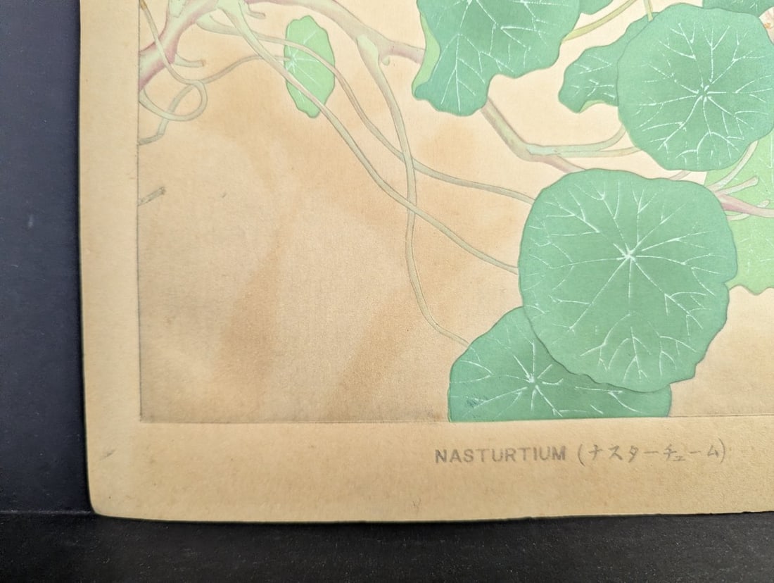 Japanese Woodblock Print 'Nasturtium' by Rakuzan Tsuchiya - 10