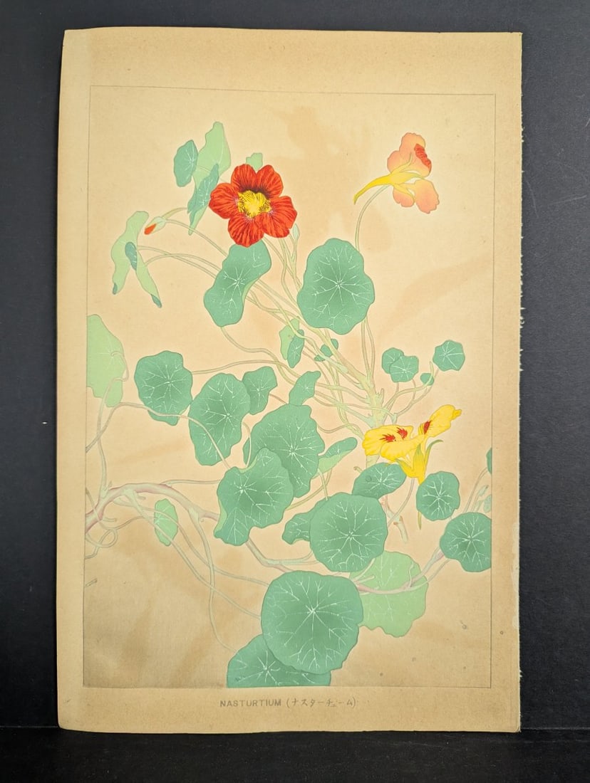 Japanese Woodblock Print 'Nasturtium' by Rakuzan Tsuchiya: **Important** Please read below description on how to avoid high shipping costs. Experience the beauty of this original Japanese woodblock print 'Nasturtium' by renowned artist Rakuzan Tsuchiya (c.