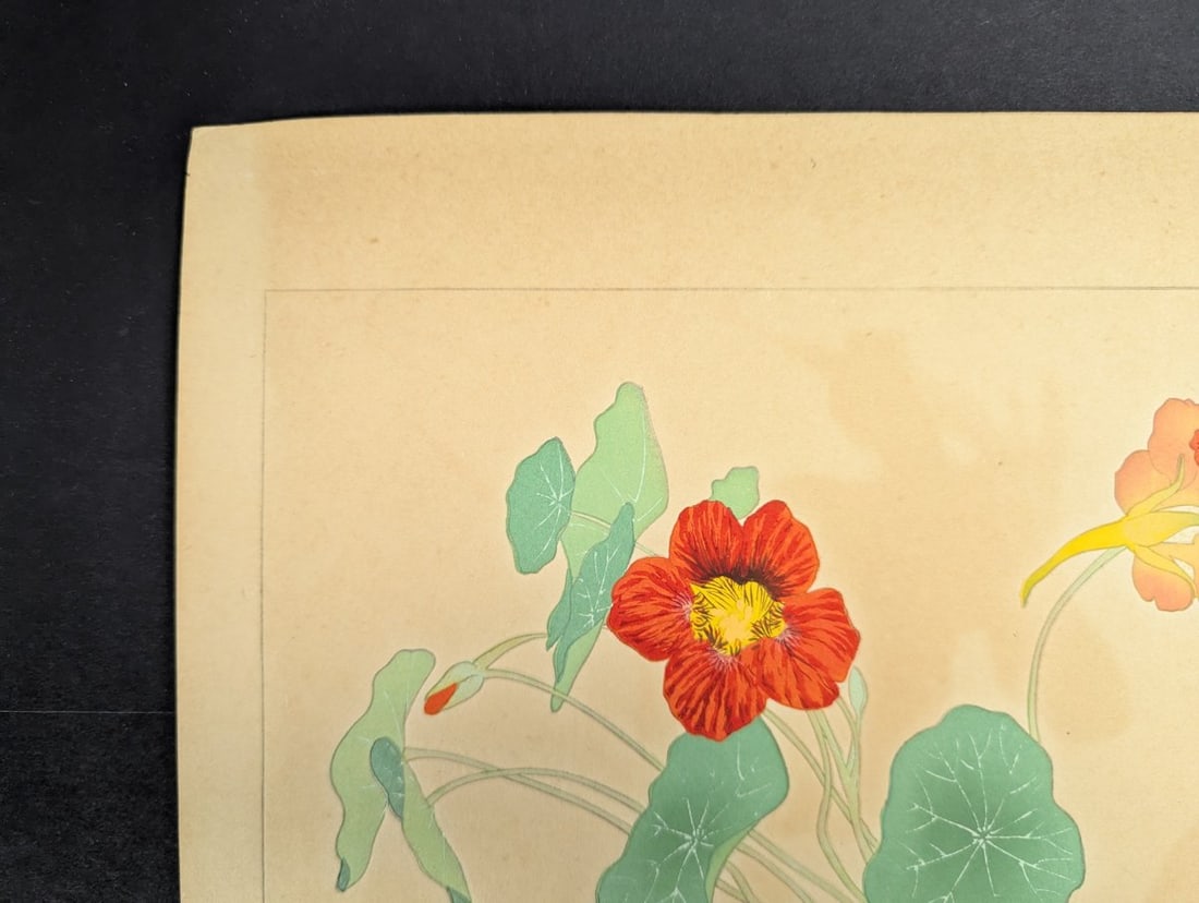 Japanese Woodblock Print 'Nasturtium' by Rakuzan Tsuchiya - 2