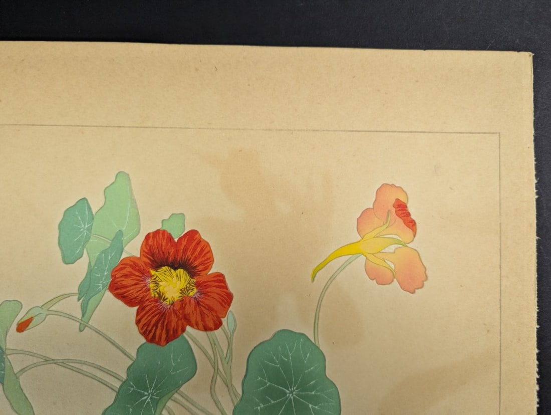 Japanese Woodblock Print 'Nasturtium' by Rakuzan Tsuchiya - 4