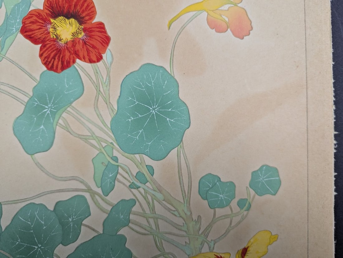 Japanese Woodblock Print 'Nasturtium' by Rakuzan Tsuchiya - 5