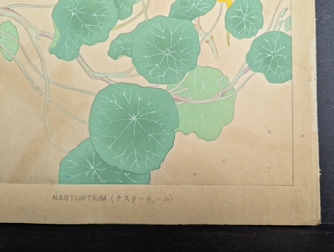 Japanese Woodblock Print 'Nasturtium' by Rakuzan Tsuchiya - 7