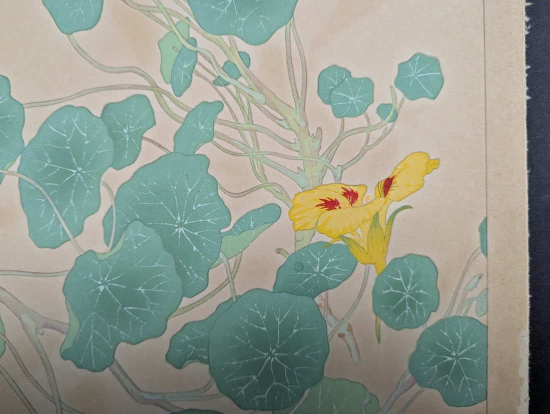 Japanese Woodblock Print 'Nasturtium' by Rakuzan Tsuchiya - 8