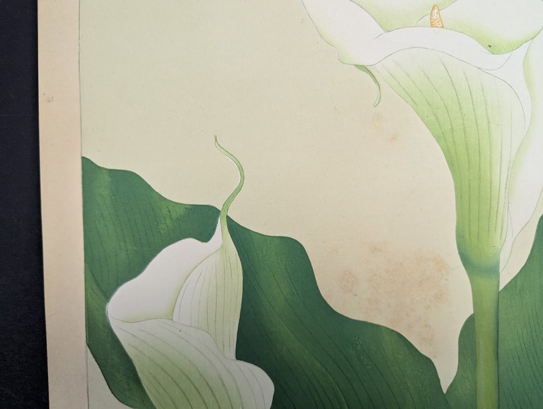 Japanese Woodblock Print Callalily by Rakuzan Tsuchiya - 2