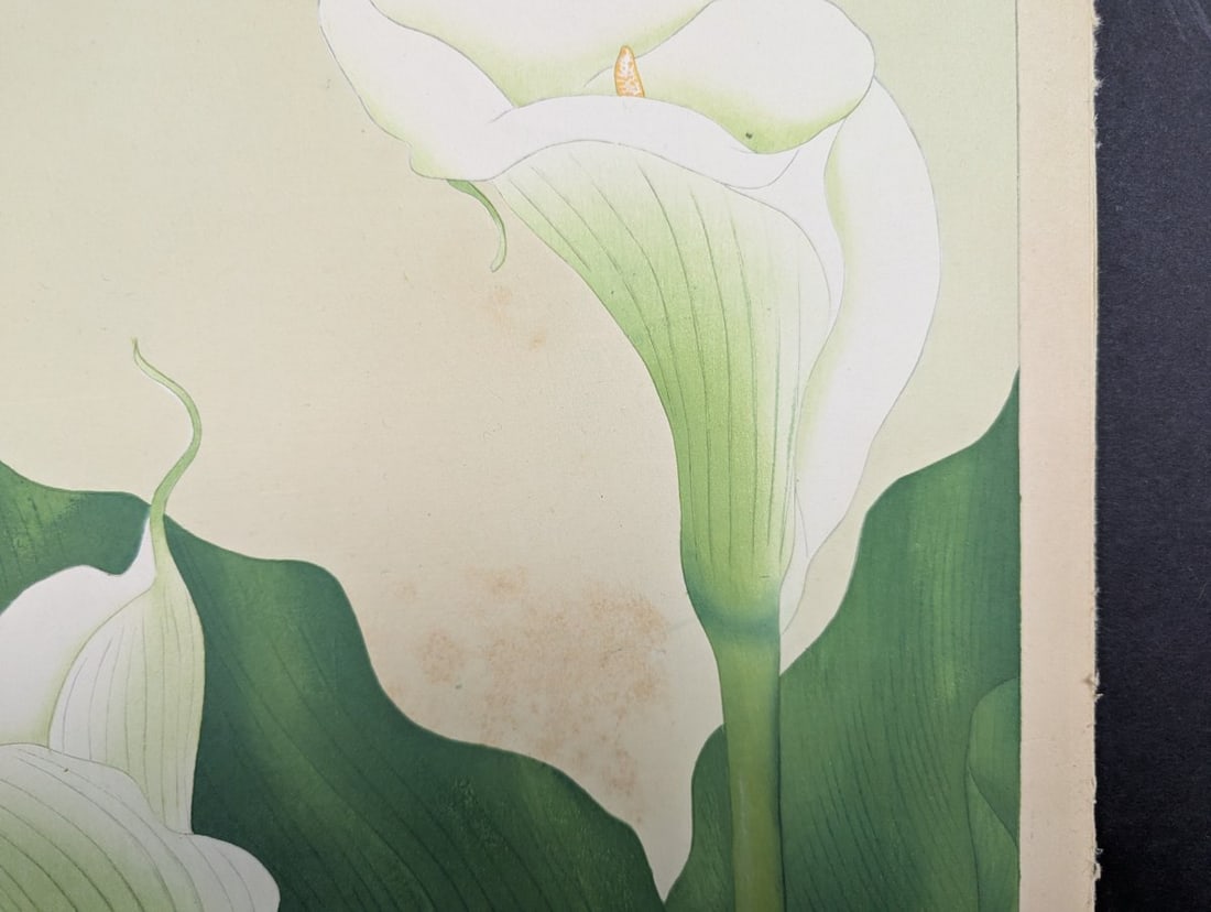Japanese Woodblock Print Callalily by Rakuzan Tsuchiya - 3
