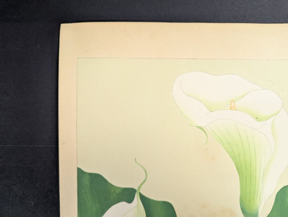 Japanese Woodblock Print Callalily by Rakuzan Tsuchiya - 4