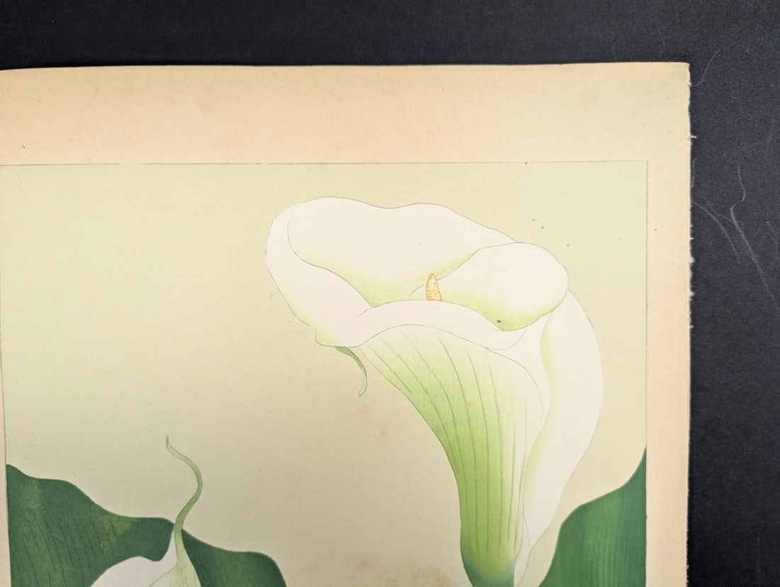 Japanese Woodblock Print Callalily by Rakuzan Tsuchiya - 5