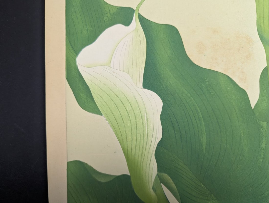 Japanese Woodblock Print Callalily by Rakuzan Tsuchiya - 6