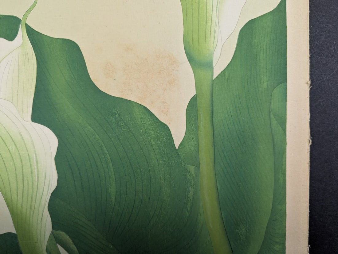 Japanese Woodblock Print Callalily by Rakuzan Tsuchiya - 8