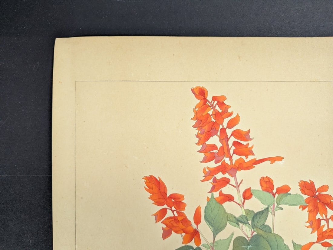 Rakuzan Tsuchiya Japanese Woodblock Print Salvia Botanical Art - 4