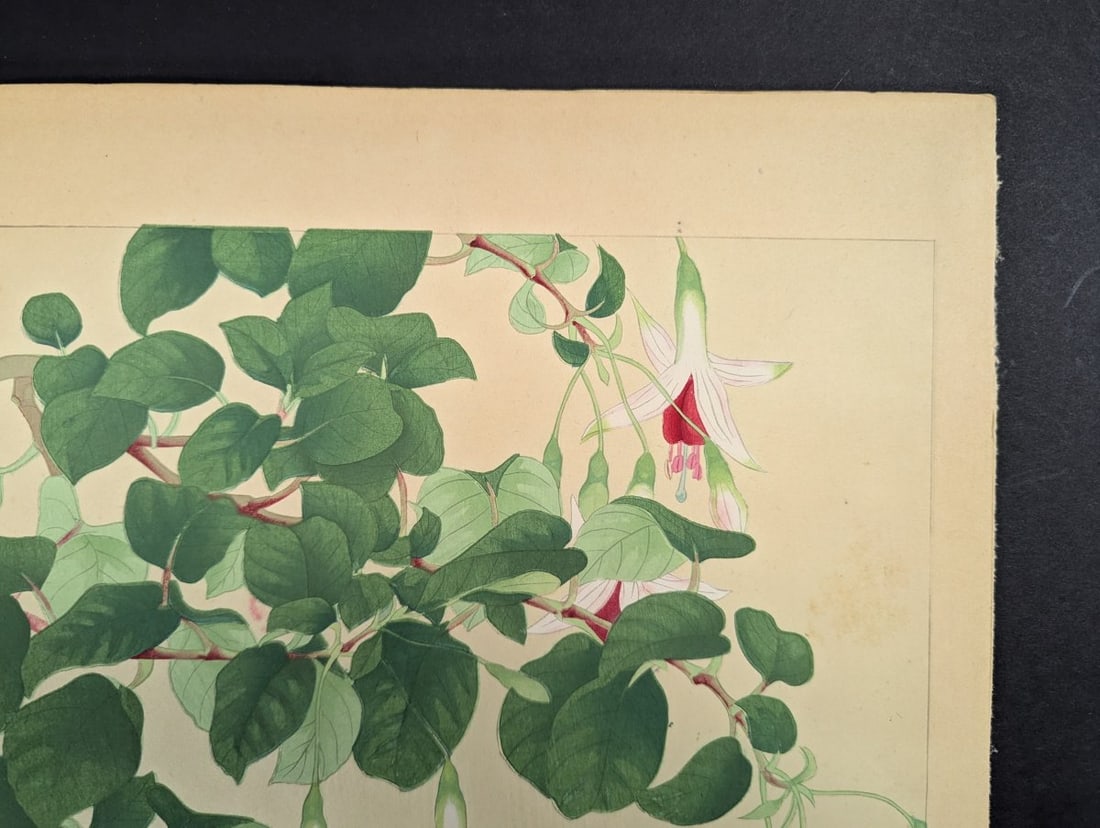 Japanese Woodblock Print Fuchsia By Rakuzan Nakayama Beautiful Artwork - 3