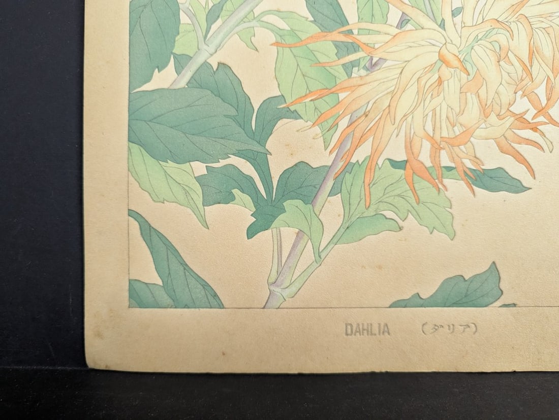 Rakuzan Tsuchiya Dahlia Japanese Woodblock Print by Renowned Artist - 10