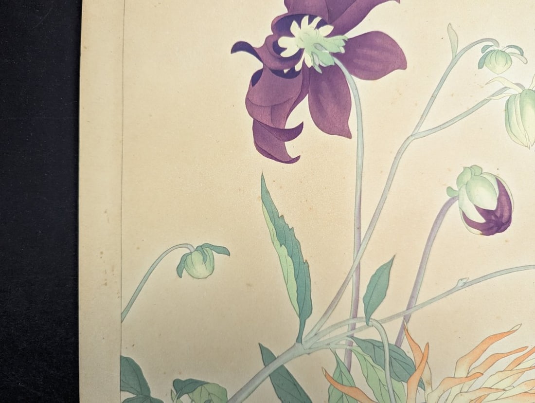Rakuzan Tsuchiya Dahlia Japanese Woodblock Print by Renowned Artist - 2