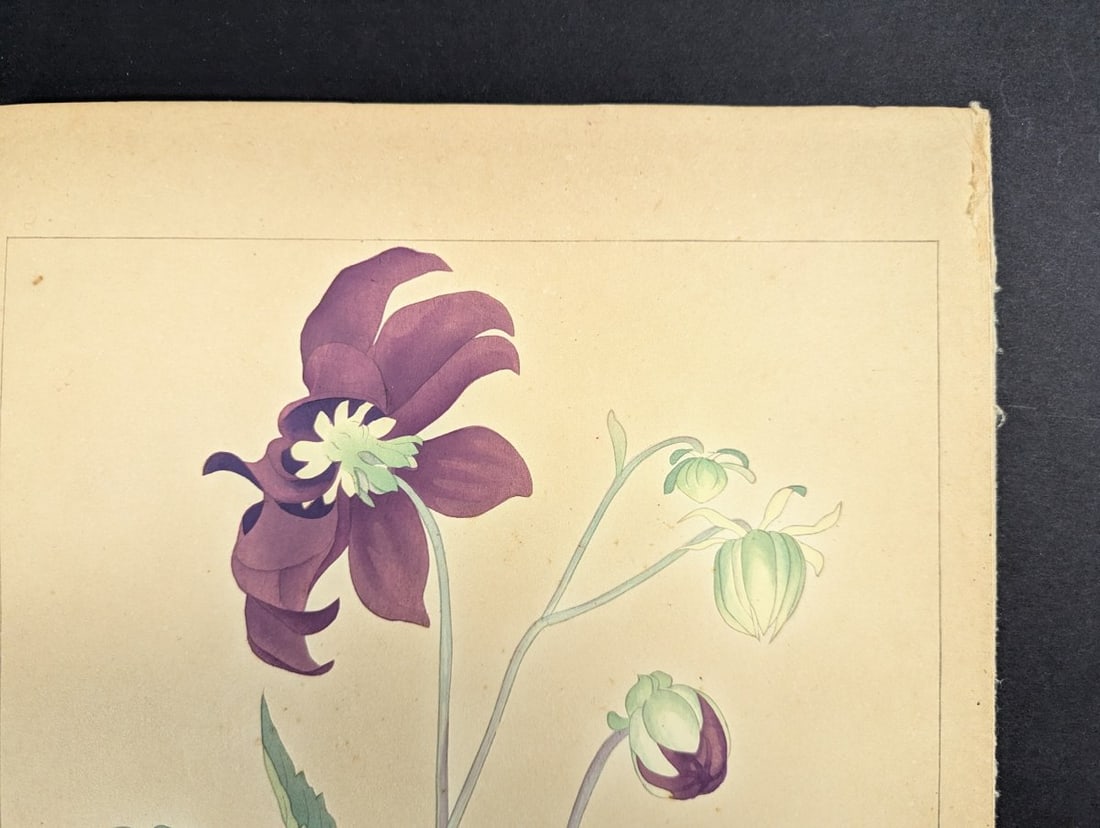 Rakuzan Tsuchiya Dahlia Japanese Woodblock Print by Renowned Artist - 3