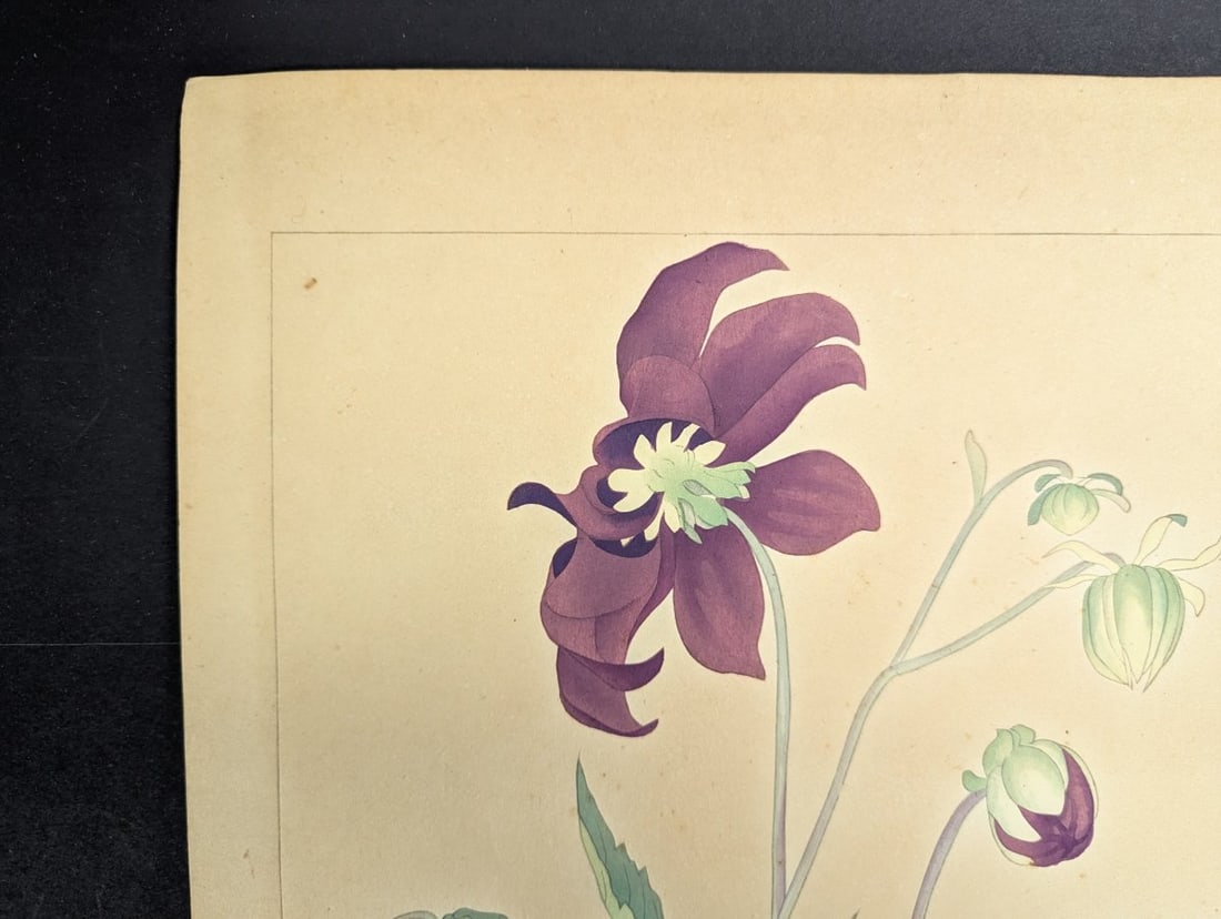 Rakuzan Tsuchiya Dahlia Japanese Woodblock Print by Renowned Artist - 4