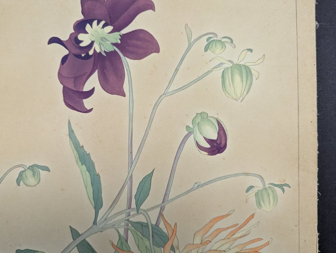 Rakuzan Tsuchiya Dahlia Japanese Woodblock Print by Renowned Artist - 5