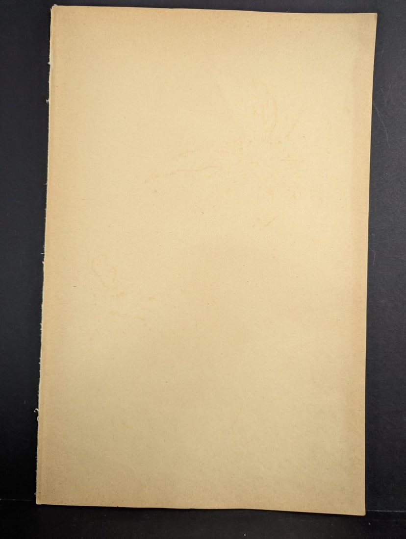 Rakuzan Tsuchiya Dahlia Japanese Woodblock Print by Renowned Artist - 6