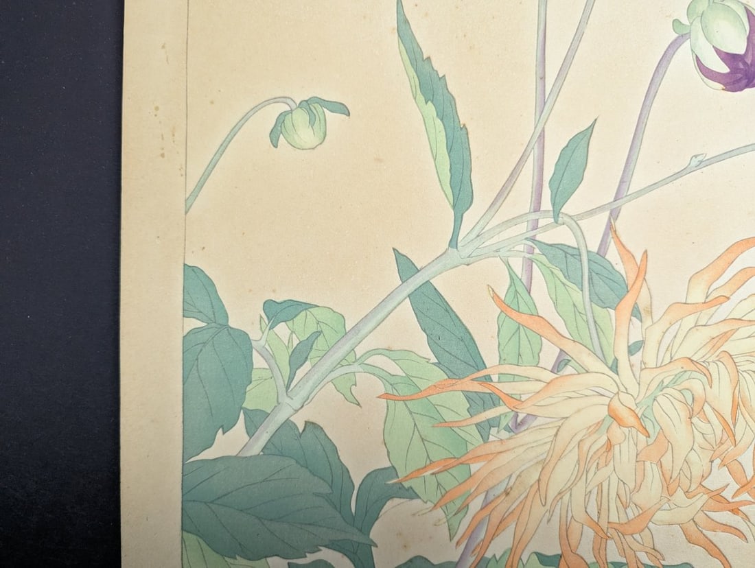 Rakuzan Tsuchiya Dahlia Japanese Woodblock Print by Renowned Artist - 7
