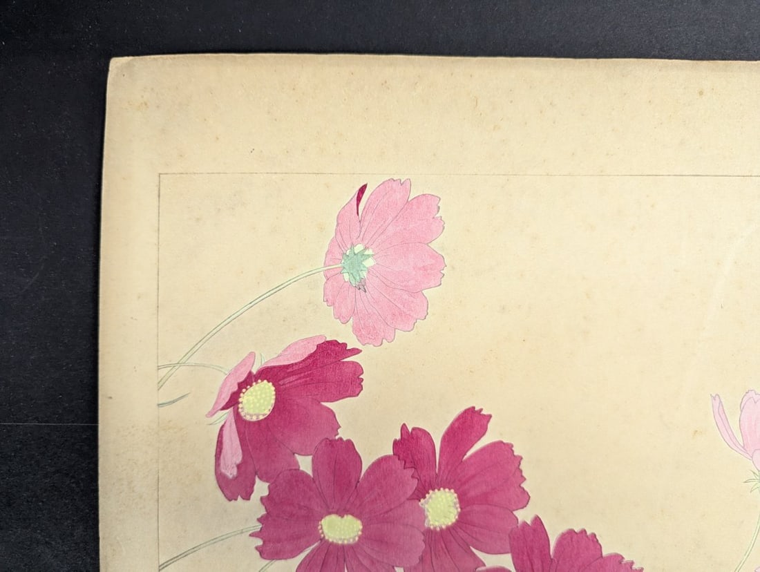 Rakuzan Tsuchiya 'Cosmos' Japanese Woodblock Print - Iconic Shin-hanga Flower Art - 3