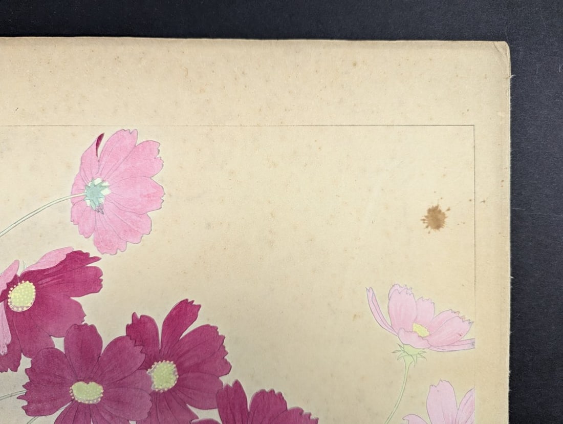 Rakuzan Tsuchiya 'Cosmos' Japanese Woodblock Print - Iconic Shin-hanga Flower Art - 5