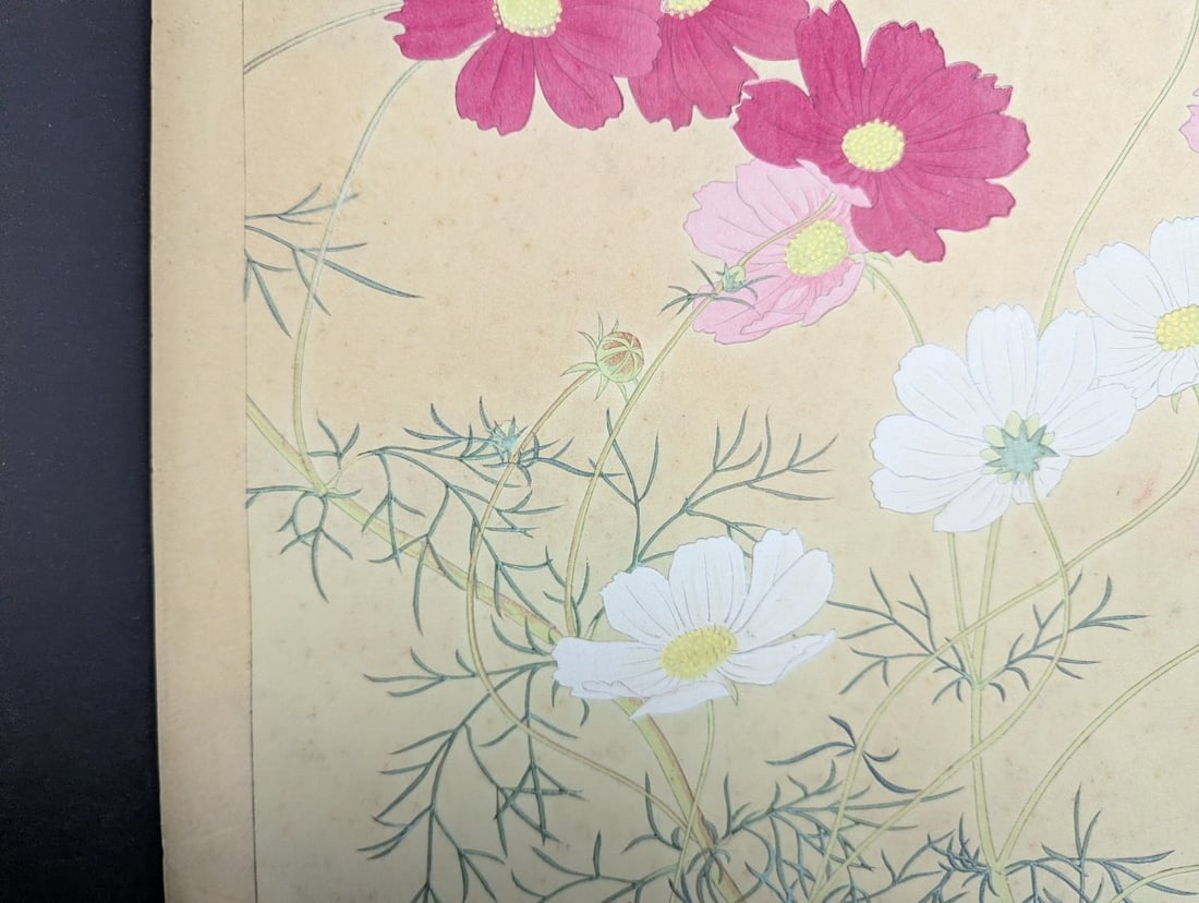 Rakuzan Tsuchiya 'Cosmos' Japanese Woodblock Print - Iconic Shin-hanga Flower Art - 6