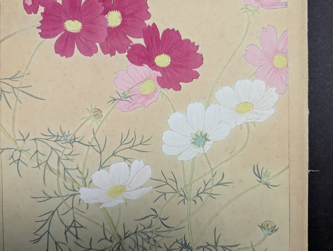 Rakuzan Tsuchiya 'Cosmos' Japanese Woodblock Print - Iconic Shin-hanga Flower Art - 7