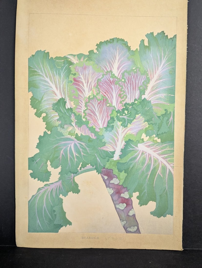 Tsuchiya Rakuzan Brassica Japanese Woodblock Print: **Important** Please read below description on how to avoid high shipping costs. This exquisite Japanese woodblock print titled 'Brassica'