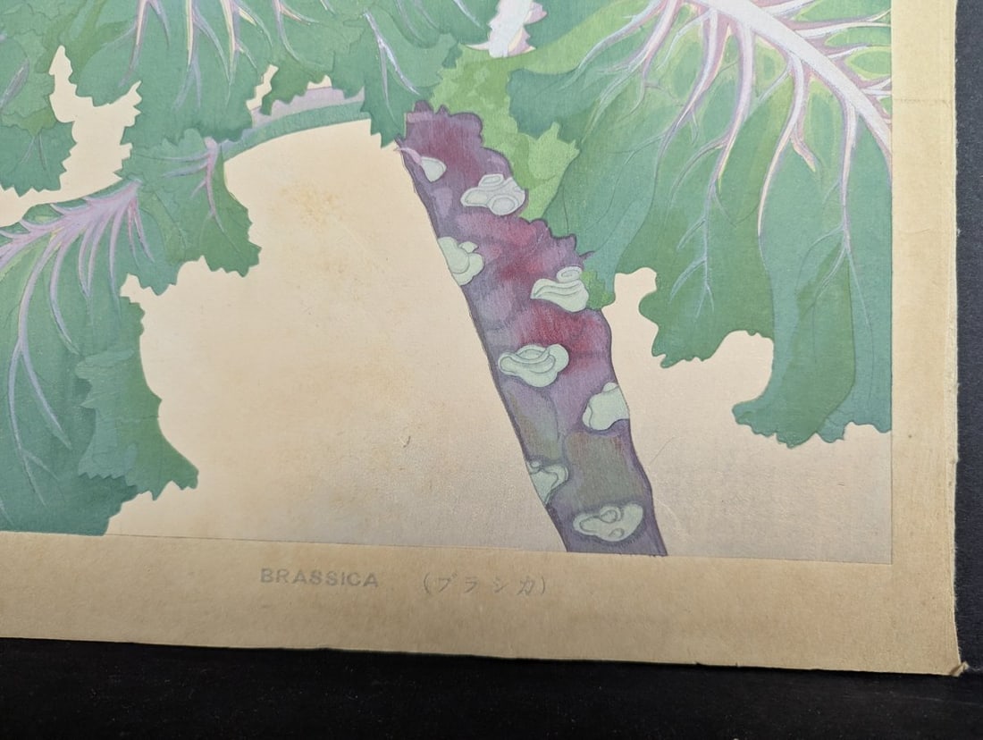Tsuchiya Rakuzan Brassica Japanese Woodblock Print - 6