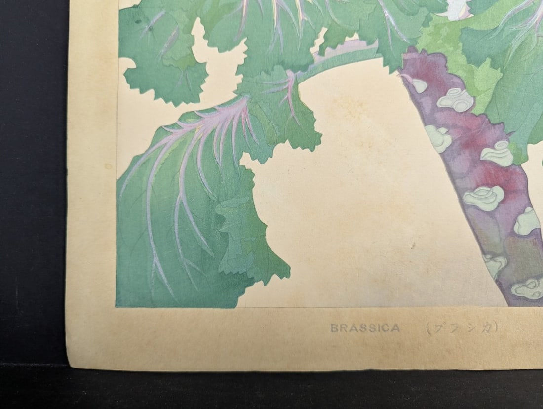 Tsuchiya Rakuzan Brassica Japanese Woodblock Print - 9